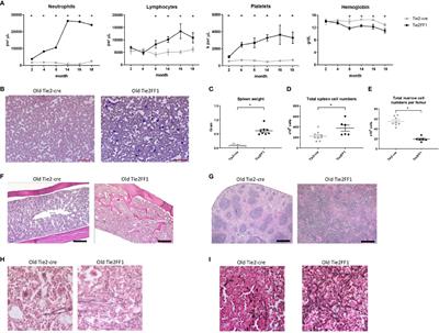 A Murine Model With JAK2V617F Expression in Both Hematopoietic Cells and Vascular Endothelial Cells Recapitulates the Key Features of Human Myeloproliferative Neoplasm